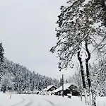 Forest * Zalesina