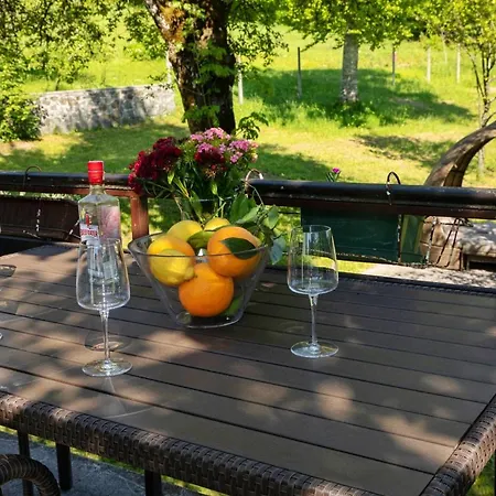 Forest Chalet Zalesina