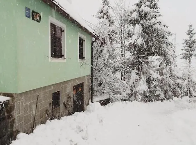 Forest Dağ evi *