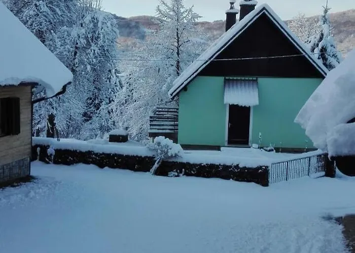 Forest Dağ evi